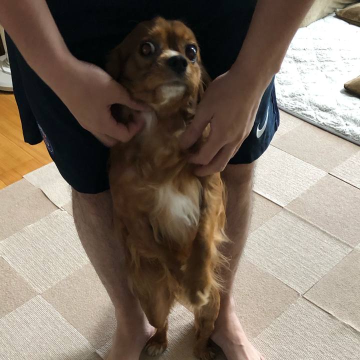 Cc82678f a346 42fe beba a7ab866cf268 1557870950517