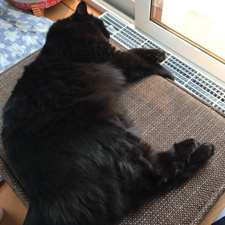 Cc8292b1 b6de 4259 91e1 29cfdeb04b84 1524801435355