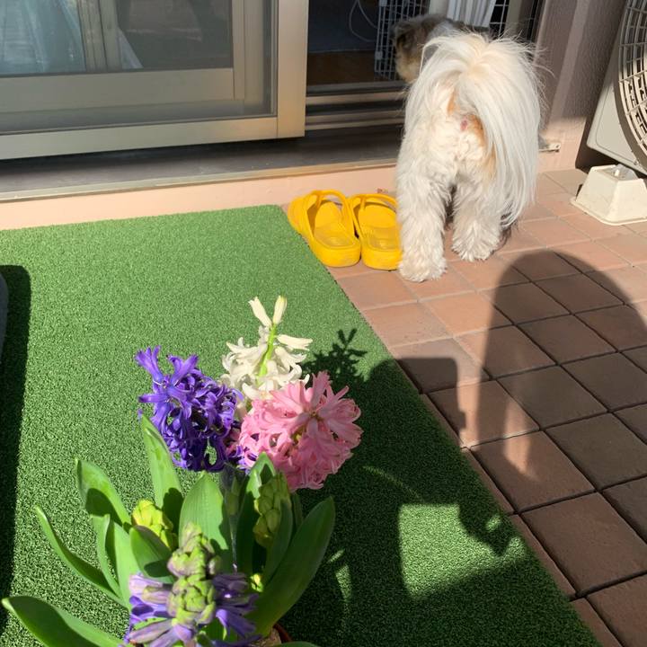 Cc82ef90 4b71 4fc0 820e f2705fd41bb9 1612691471535