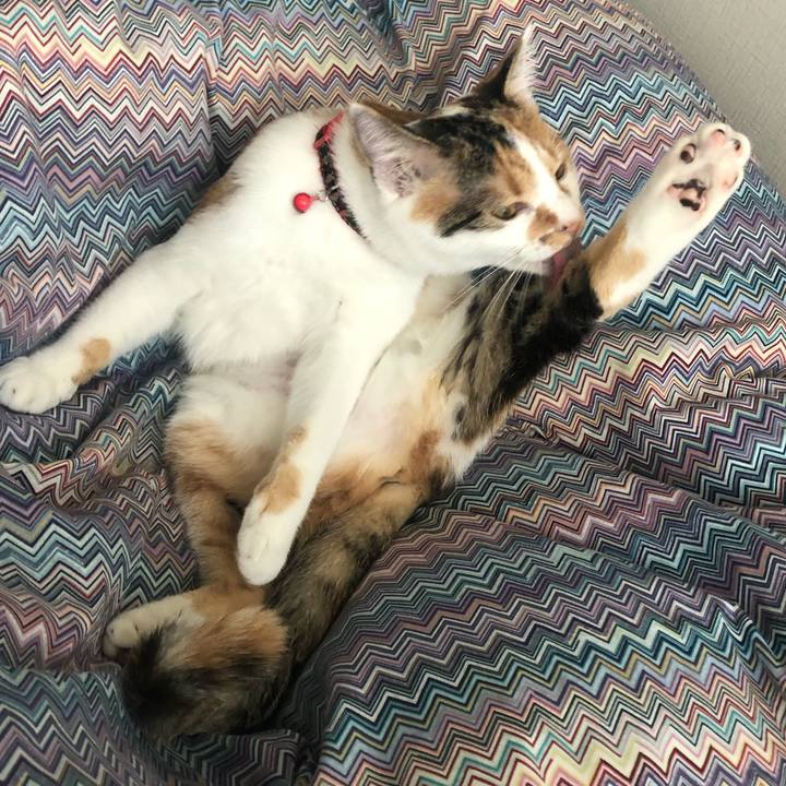 Cc8302bd 642a 4944 a293 45a40c865dbe 1574653884977