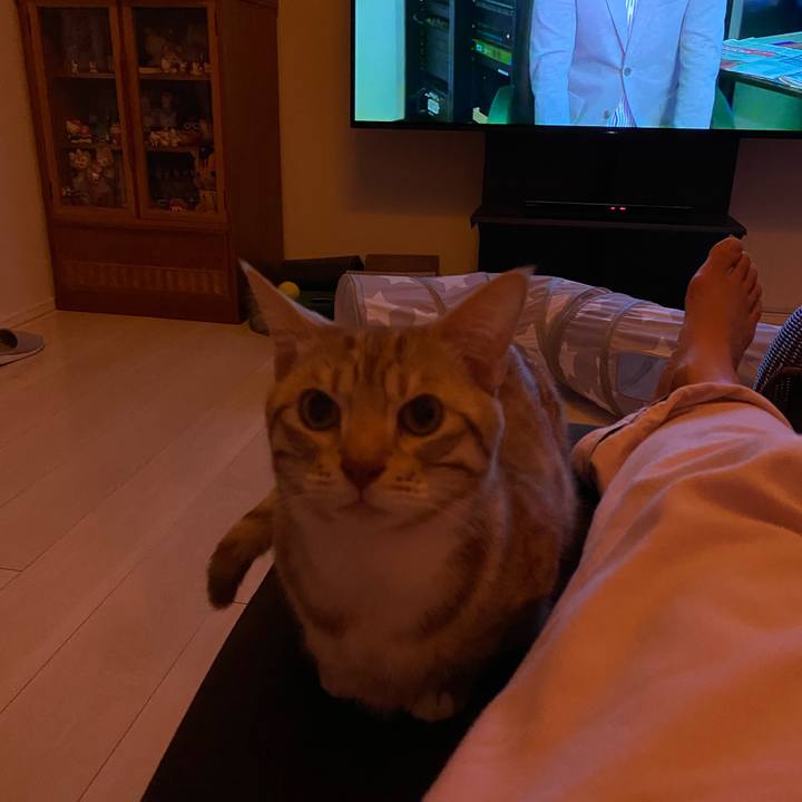 Cc831085 147b 4d4f be87 85e61be916a1 1645795892275