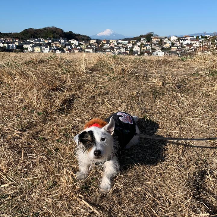 Cc832509 13b7 49bb bf44 dd6a73c58e87 1673311283099