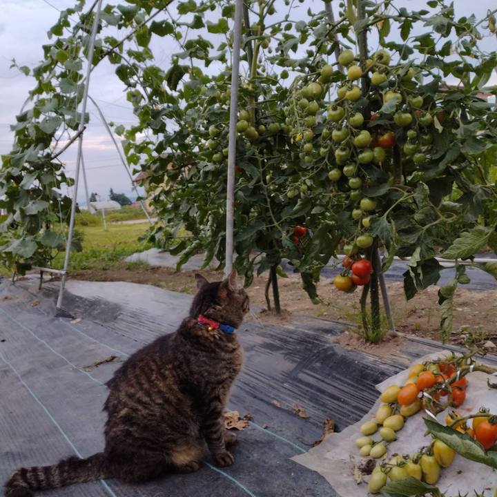 Cc834fec 0e8e 46b8 8bf8 d89d9c8d713f 1689673800583