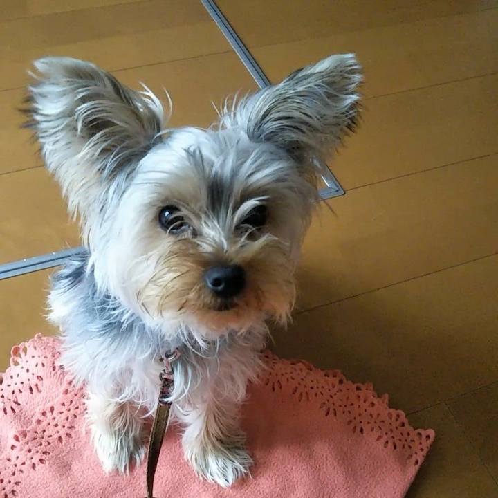 Cc835575 95ad 4000 a56c 85ebfe732896 1549430360772