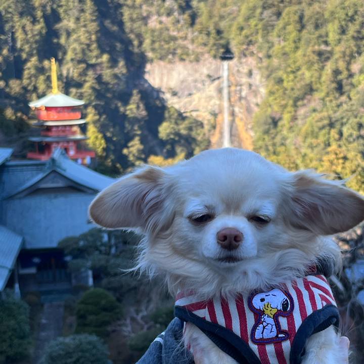 Cc838766 9cf7 4176 81ea 8a3c15eb17d1 1735792529394