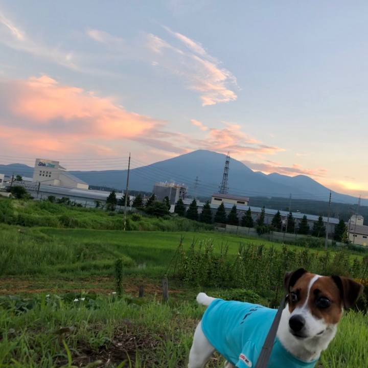 Cc8392d0 516b 475e af46 d8215f0a8888 1565177046631