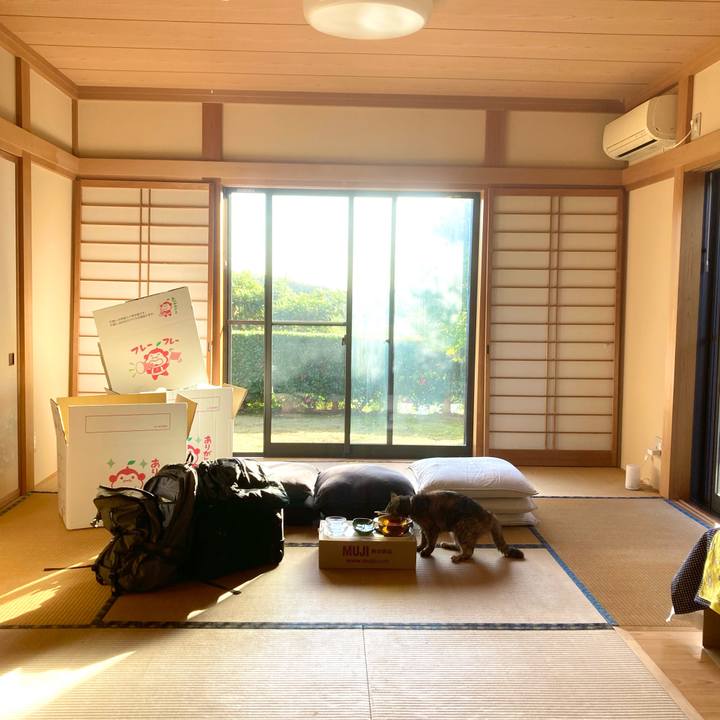 Cc83e9d0 7c08 47b8 bcf5 d467b9cfb652 1607739799638