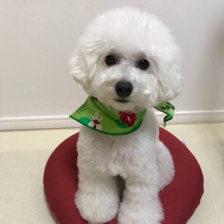 Cc83fed6 41e0 409c befb 4eac75970cef 1537089613608