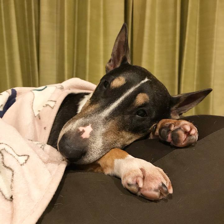 Cc841873 827e 4eda 83a4 7dba8d5d1591 1521210766279