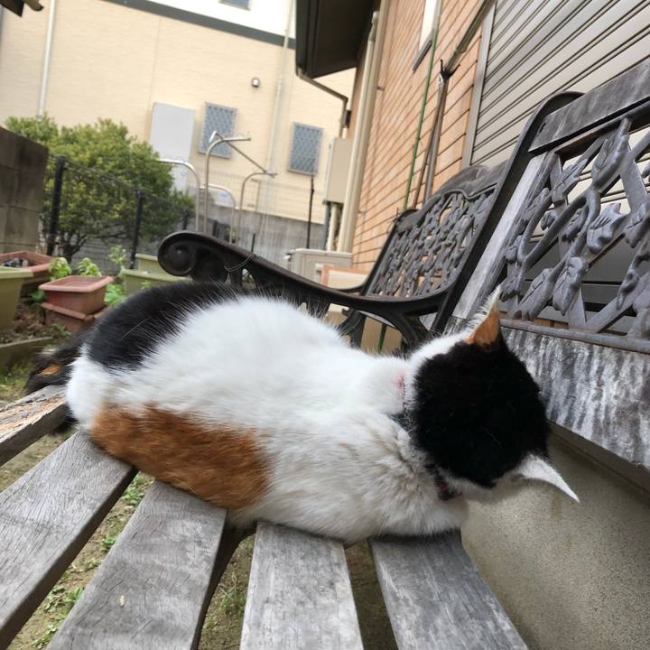 Cc842634 39d4 499e af5b b99ec825b388 1614723453342