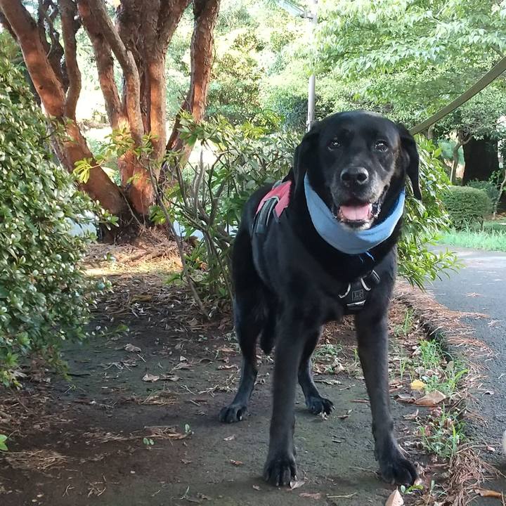 Cc842a38 b279 4a58 8d56 c380026f6483 1692052591045