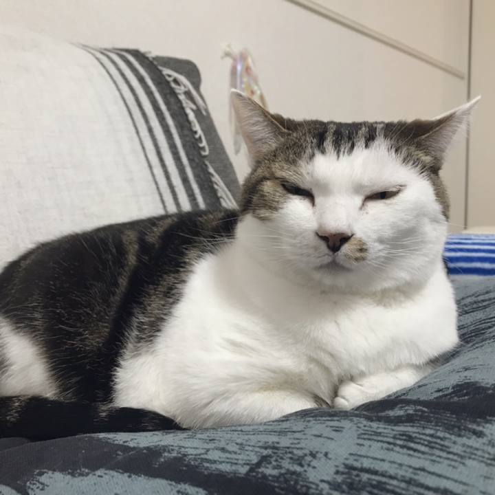 Cc842b1c 60c8 4c8a 9e5e 9ec4782bed9e 1549606499363