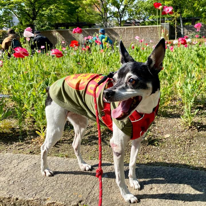 Cc8472d9 55e2 448e a7ae 19793779ea3b 1620041767044