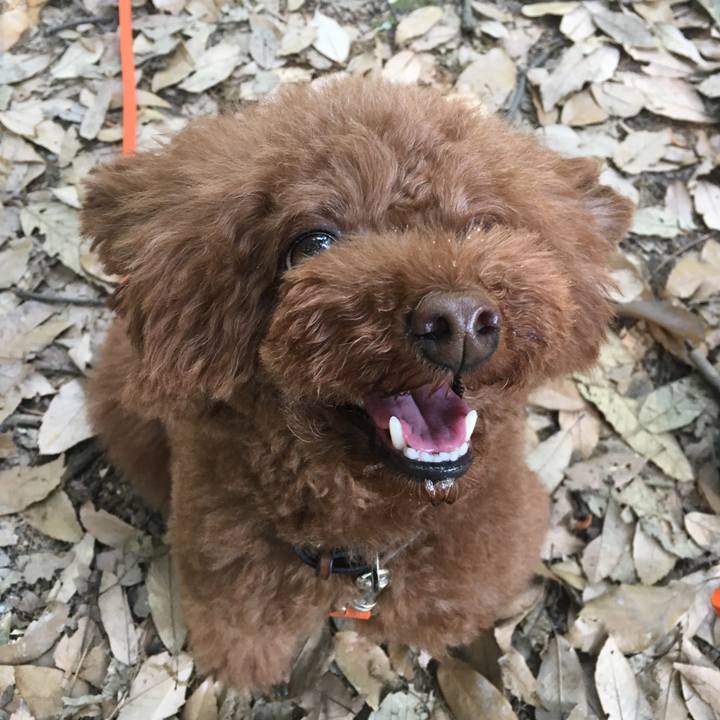 Cc8478bd 270a 4d5e 9295 3c4905039e7f 1525130083030