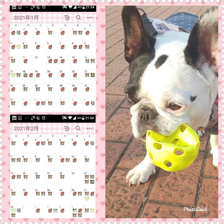 Cc848044 8eb0 4195 9d32 1d7ac64f5598 1615210266466