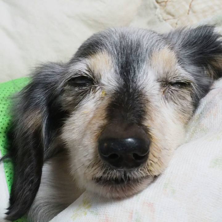 Cc84d75e 7586 445d 97c1 b37b71efeec7 1521204288222