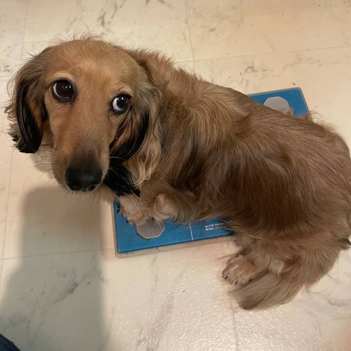 Cc84f5d3 85d9 4434 992a cdf7e3ce97aa 1730038341568