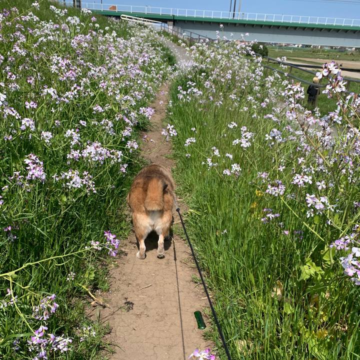 Cc850c98 2417 4d07 b5b9 742afa9f8f0a 1586570508813