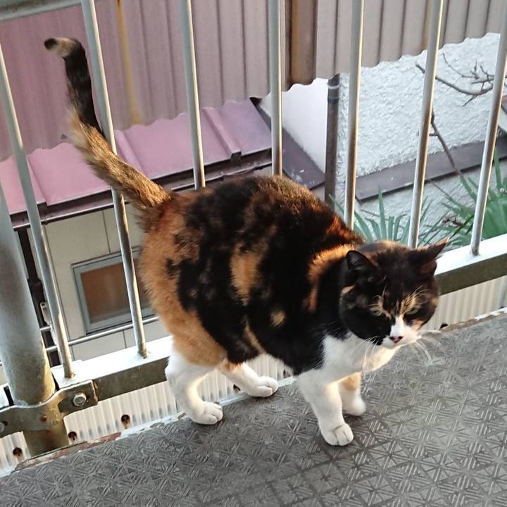 Cc850d05 ef0b 4b14 8fc3 1611b976c313 1646388741979