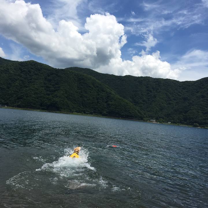 Cc851958 212b 4700 a3d0 8cbc449146ab 1530604117592