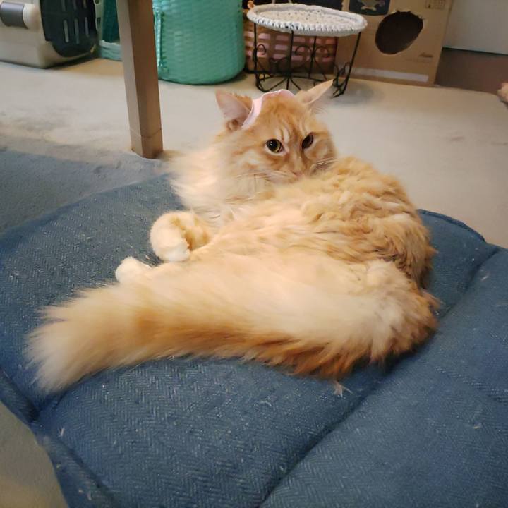 Cc85218b 3a62 4456 840c dd0343f4bd80 1682513756274