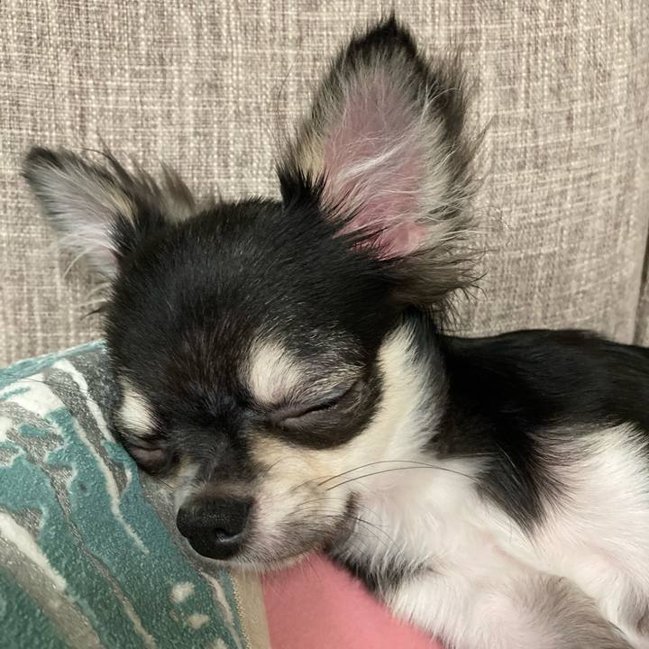 Cc8523bf 9db9 4db5 a364 18716730e57b 1597496477346