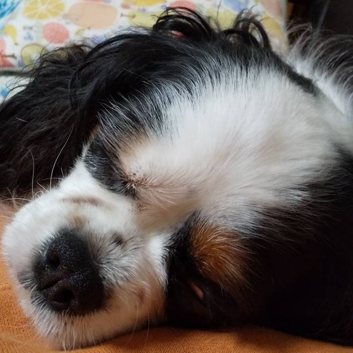 Cc8529f0 ef34 4a0a adb3 f129e4e0d812 1574337760676