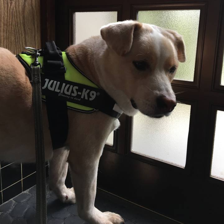 Cc853901 890f 46ef 951a 456c3c488be8 1536966384606