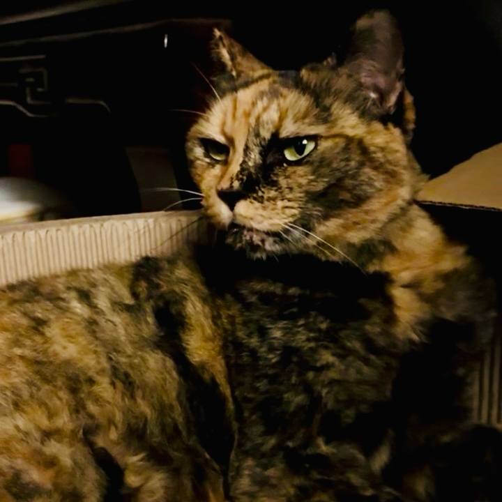 Cc854a58 0f63 4f14 87b1 c7378d9183d7 1759571116449