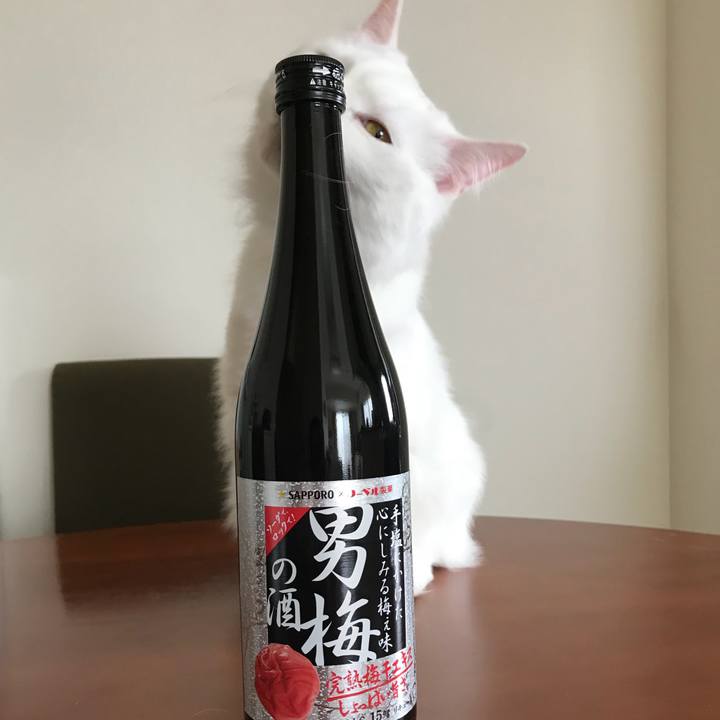 Cc854b80 d11f 4d55 831d c96607c19067 1526731733855