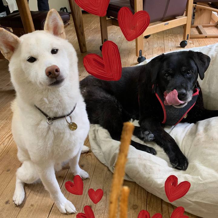 Cc8565a7 76c0 4489 8eff dd1311f9ce31 1635638944522