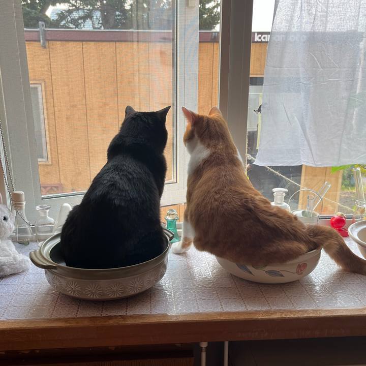 Cc85879c 712f 419c afde 81174c820b48 1689973668034