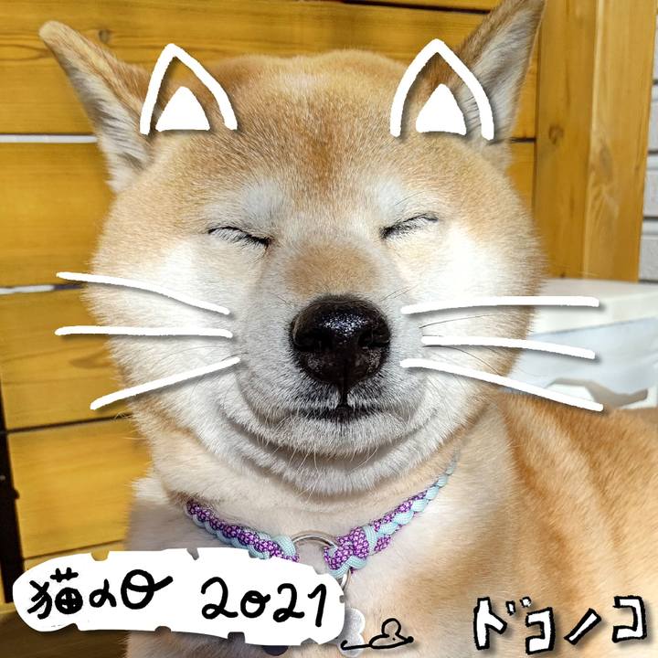 Cc85ca78 47cb 428c af45 2fab6b1b73ac 1613970147025