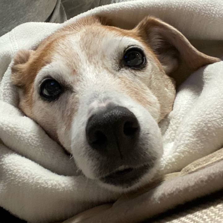 Cc863c5d 4cb6 408d b1a6 c92399b6f545 1645095463516