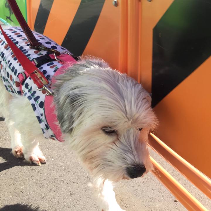 Cc86b456 5b34 49da ad4f 4c6b1d36ee76 1515927564606