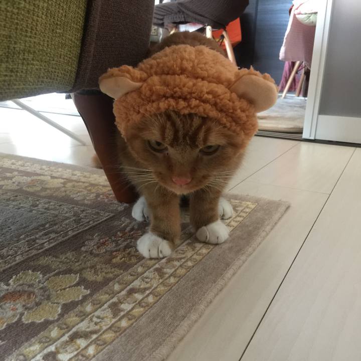 Cc86c8a0 ca6f 4bbd 8cd4 0b589d85f967 1532229241840