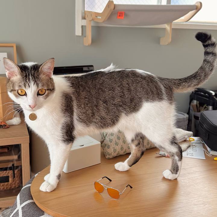 Cc86ddb4 ff83 4810 b143 7414e3c32619 1763268018014