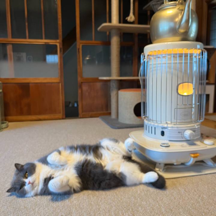 Cc86f8d3 a956 436f ba96 8b412385ed67 1672714832669