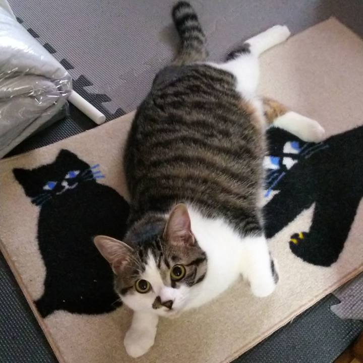 Cc872351 726d 42fc 8798 0619b7006fa1 1621036563021