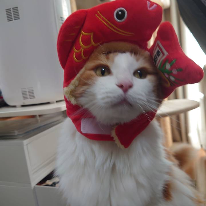 Cc8782e9 0d25 4297 9edb 191cc94db3c4 1698491223276