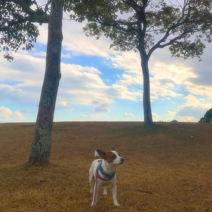 Cc87a34f ced5 42ca 8479 bfd766621380 1514206839662