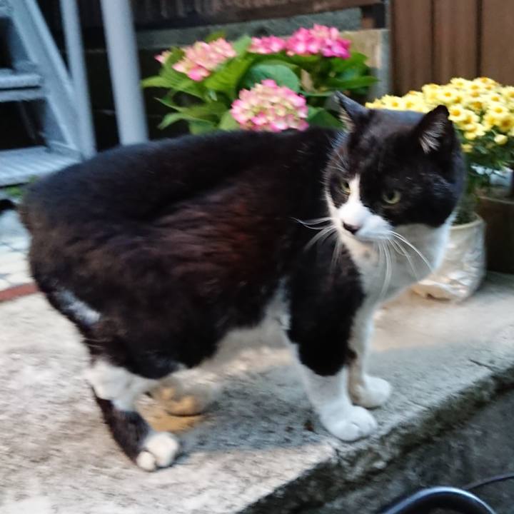 Cc87e434 5203 4d73 ad69 9deebaa0a1f3 1648858008536