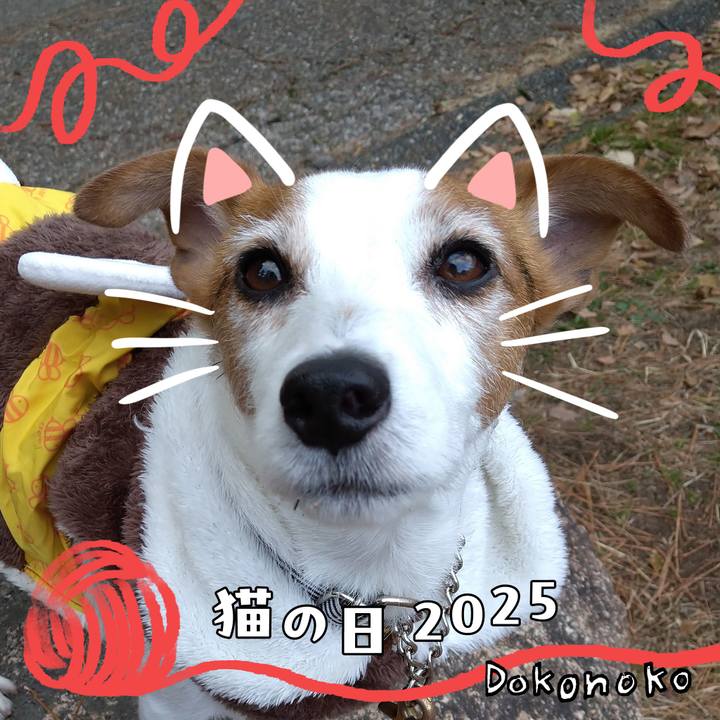 Cc8804f2 2229 48fa 85de d949ccbd10c2 1740116410055