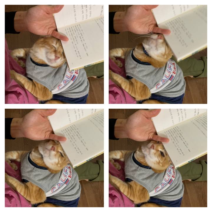 Cc8808a4 29a8 4bfa 8dbf 033db874cce3 1616190608879