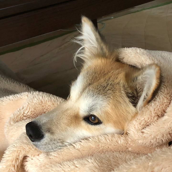 Cc881a91 4055 4a73 8768 7b56abf47b3e 1571898031177