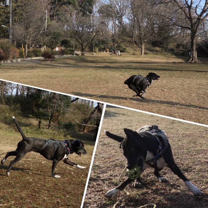 Cc884fc4 28cd 4634 9851 783305cab9f8 1646872055535