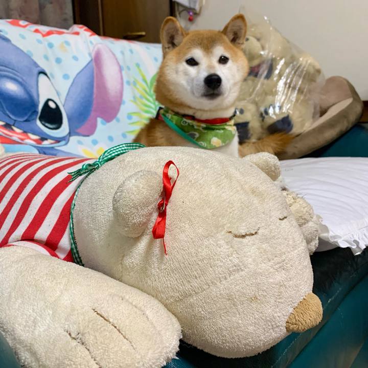 Cc88ae32 fe84 4fc6 9978 14dd7a6efa6f 1636455641726