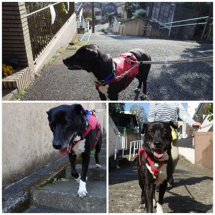 Cc88cf6b d8c9 4e70 ad76 90eed7b26ca2 1679447941916