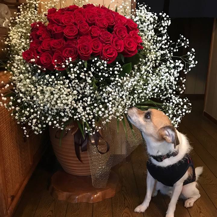 Cc88e945 9933 4236 a09c d9739301f51a 1538739289831