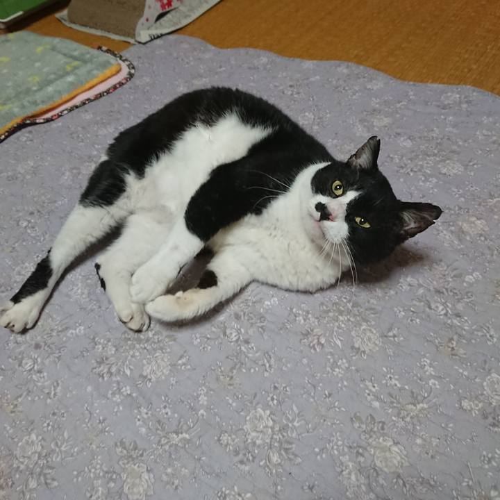 Cc88ebb1 9801 43ad 8b8c 7863f1ba42b8 1577138951793